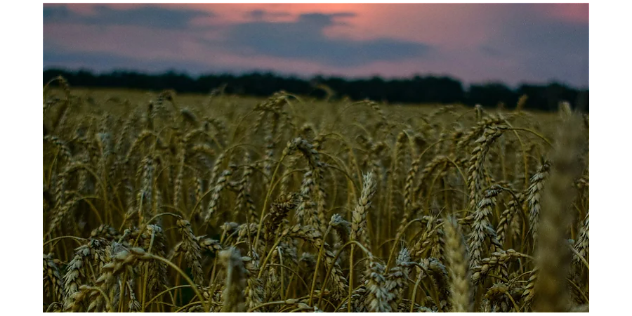 Народные приметы на 19 июня: что можно и нельзя делать в этот день