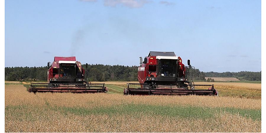 В Беларуси намолочено более 7,1 млн тонн зерна с учетом рапса