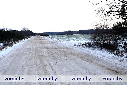 Чат-бот в действии. Асфальт будет