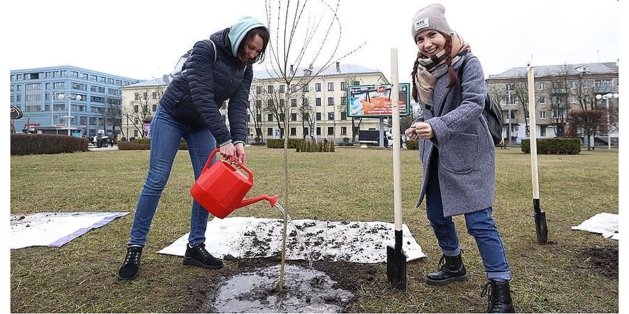 Сегодня в Беларуси пройдет республиканский субботник