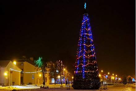 Чья елочка на Гродненщине краше?