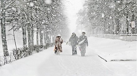 Синоптики вводят оранжевый уровень опасности: в Беларуси ждут циклон "Эмма"
