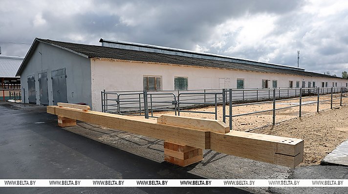 Александр Лукашенко совершит рабочую поездку в Петриковский район