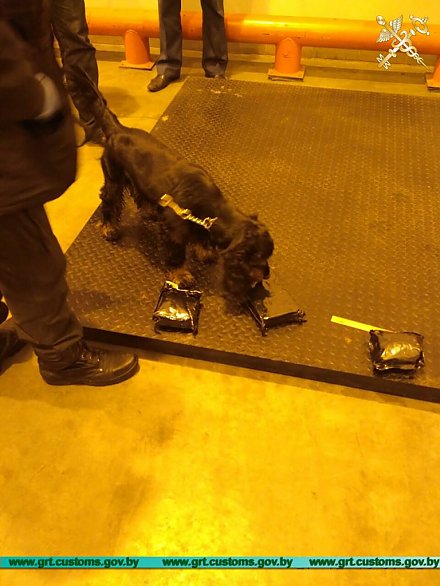 Попытку ввезти в страну около 2,5 кг кокаина пресекли гродненские таможенники
