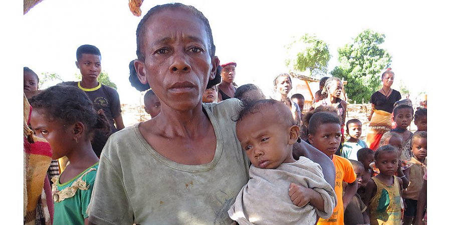 Жителям 43 стран мира грозит масштабный голод