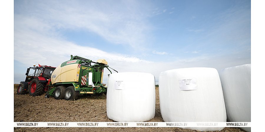 "Мы должны делать свое". Лукашенко требует осваивать собственное производство новых машин для АПК