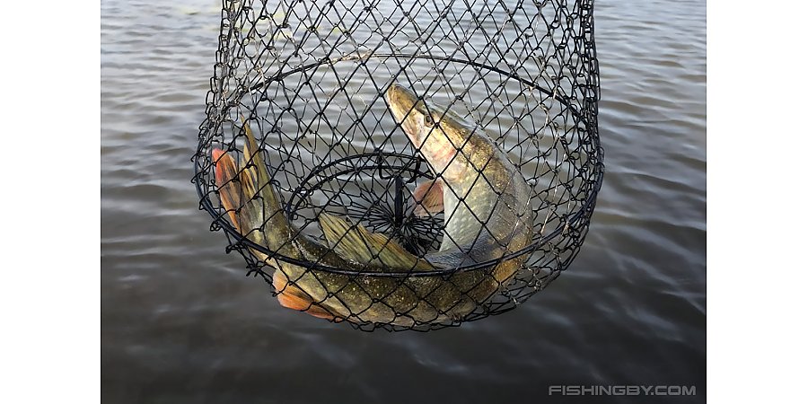 Нерестовый период — время соблюдать правила