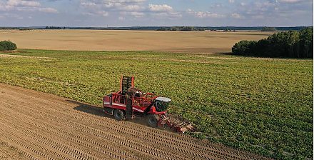 Рост экспорта сахара и мелиорация: Леонид Заяц о планах в сельском хозяйстве на этот год