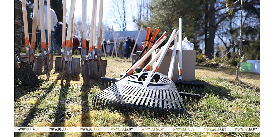Республиканский субботник пройдет в Беларуси 25 октября