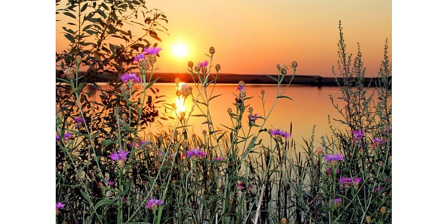 Народный календарь на 26 июля: что можно и нельзя делать, приметы и праздники