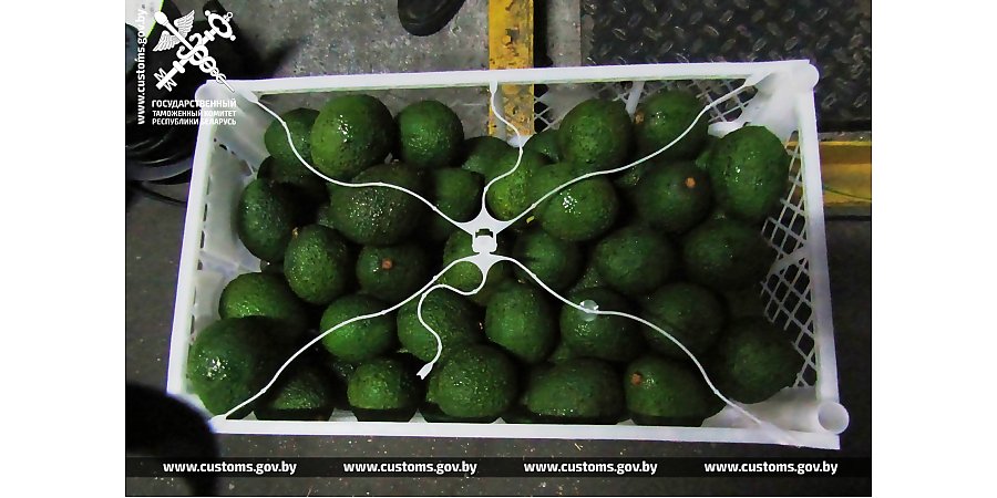 Литовский перевозчик, следуя из Нидерландов, не задекларировал﻿ 3,3 тонны кокосов и лаймов