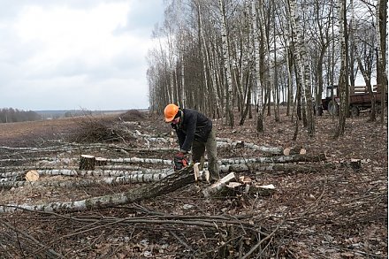 Пришла весна — за уборку пора