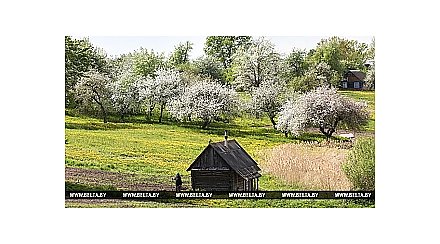 Теплая сухая погода ожидается в Беларуси в выходные