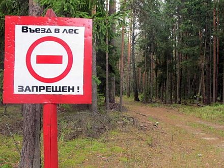 В Вороновском районе с 23 августа действует запрет на посещение лесов