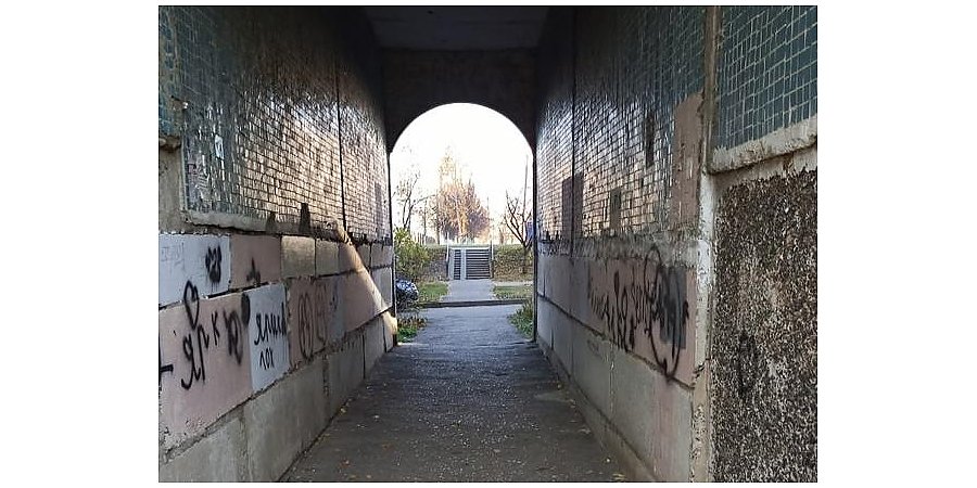 Сеанс «иглоукалывания»: мужчина уколол женщину иглой от шприца во дворе жилого дома в Гродно