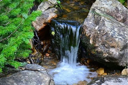 Минприроды приглашает принять участие в республиканской акции «Расскажи о своем роднике»