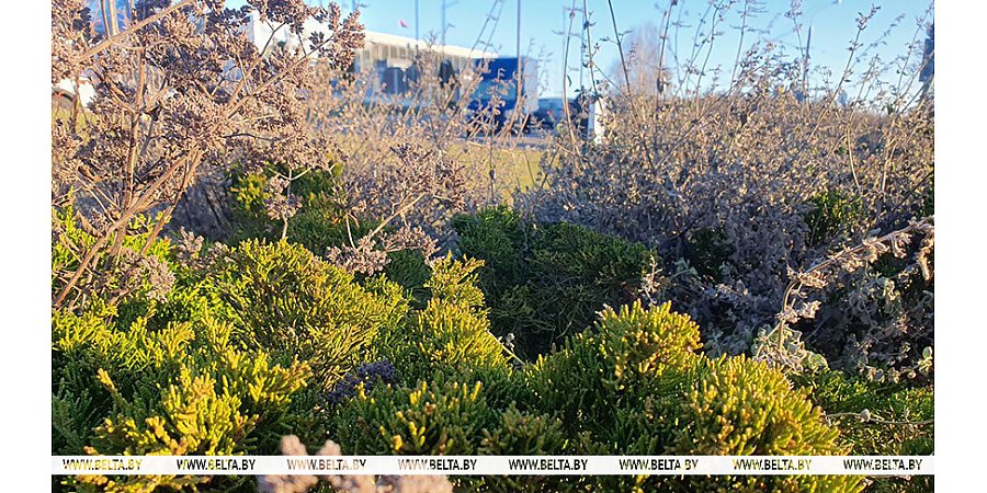 Настоящей зимы ждать не стоит. Дмитрий Рябов о погоде на неделю с 20 по 26 января