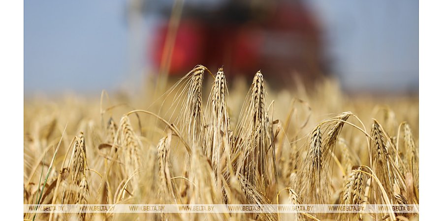 Прокуратура проверила готовность сельхозпредприятий Гродненской области к уборке урожая