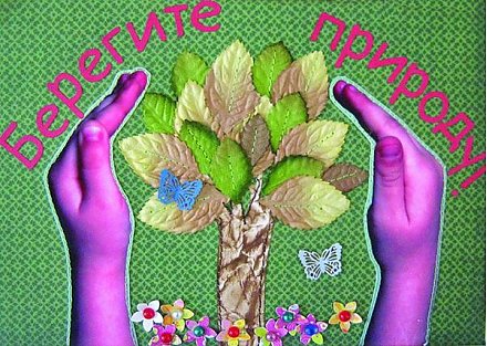 Сбережем природу вместе