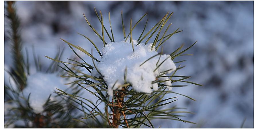 Мокрый снег и гололедица. Какая погода будет в Беларуси 2 февраля
