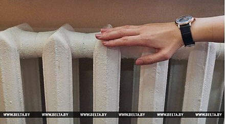 Более 300 организаций из 15 стран примут участие в Белорусском энергетическом и экологическом форуме