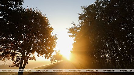 Ноябрь 2019 года стал вторым среди самых теплых за последние почти 150 лет