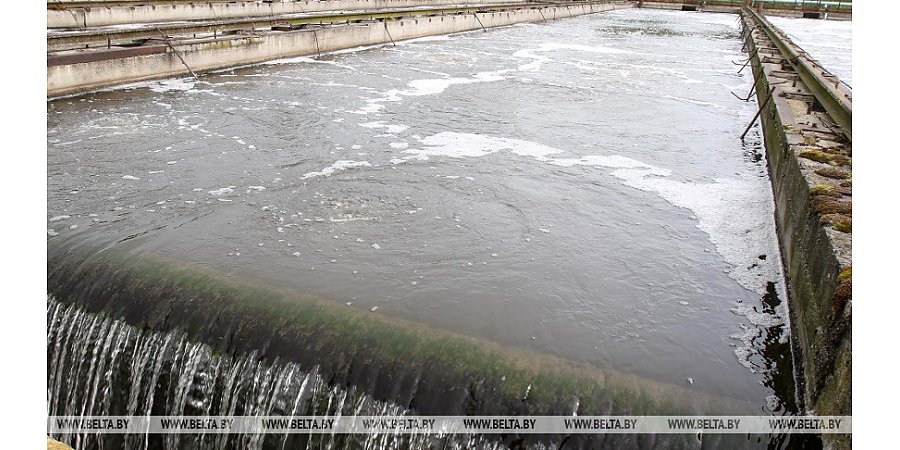 В Беларуси посчитали затраты на охрану окружающей среды