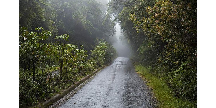 Оранжевый уровень опасности из-за сильных дождей и гроз объявлен в Беларуси на 23 мая