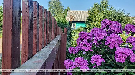 Нотариус: купить участок для ведения подсобного хозяйства теперь можно без регистрации по месту