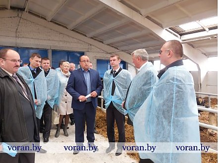 В Вороновском районе проходит областной семинар-совещание по животноводству (Дополнено)