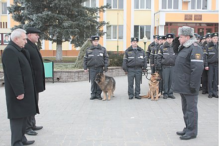 К Новому году… Готовы!