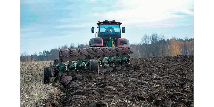 Аграрный сектор Беларуси может продемонстрировать рост на 5%