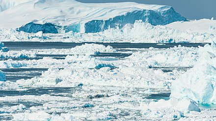 Таяние ледников высвободит сотни тысяч тонн древних бактерий