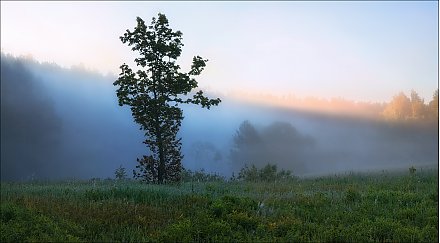 Туман ожидается в отдельных районах Беларуси 11 ноября
