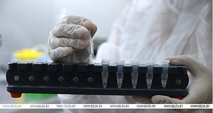 За сутки в Беларуси зарегистрированы 1425 пациентов с COVID-19, выписаны 1426