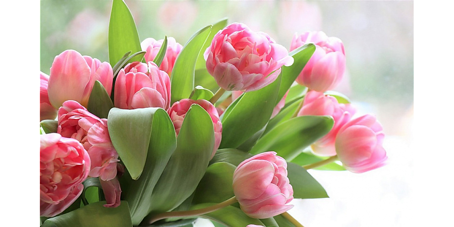 Поздравление Гродненского облисполкома и Гродненского областного Совета депутатов с 8 марта