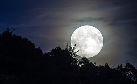 Ярче на 30%. В Беларуси ожидается мощное суперлуние