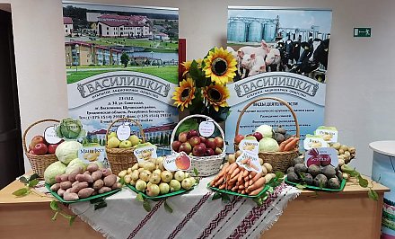 В этом году белорусские аграрии планируют получить не менее 5,8 миллиона тонн картофеля и 1,8 миллиона тонн овощей