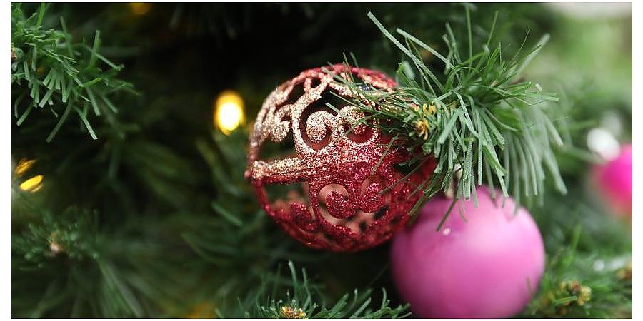 Более тысячи особенных детей порадует подарками "Елка желаний" в Гродненской области