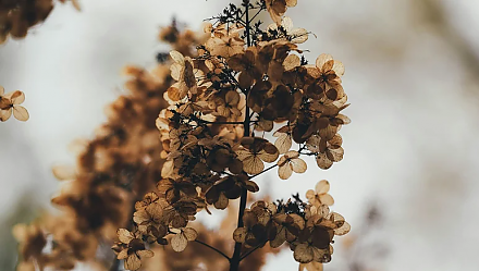 Народные приметы ноября: что ждать от последнего месяца осени