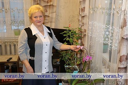 Страхование как гарантия