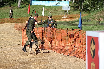 Представители Вооруженных Сил Республики Беларусь принимают участие в проводимых "Армейских международных играх-2017".