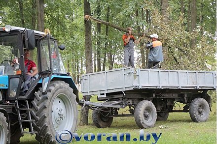 Избавиться от мусора поможет ЖКХ