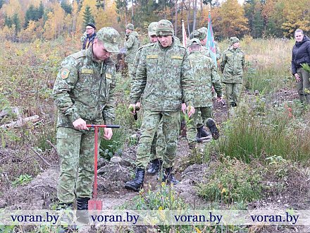 В Вороновском районе проходит республиканская добровольная акция «Дай лесу новае жыццё!» 