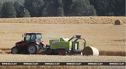 Хозяйства Беларуси намолотили второй миллион тонн зерна