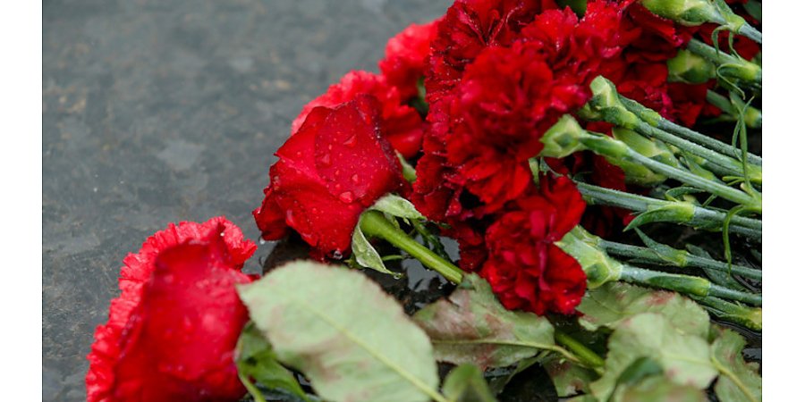 В Беларуси в Международный день памяти жертв холокоста запустили традиционную акцию