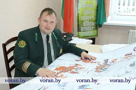 Стражи зеленых кварталов