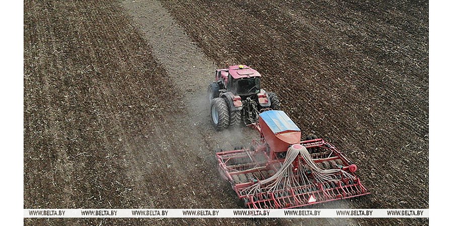 Правительство утвердило меры по подготовке к полевым работам и уборке урожая в 2025 году