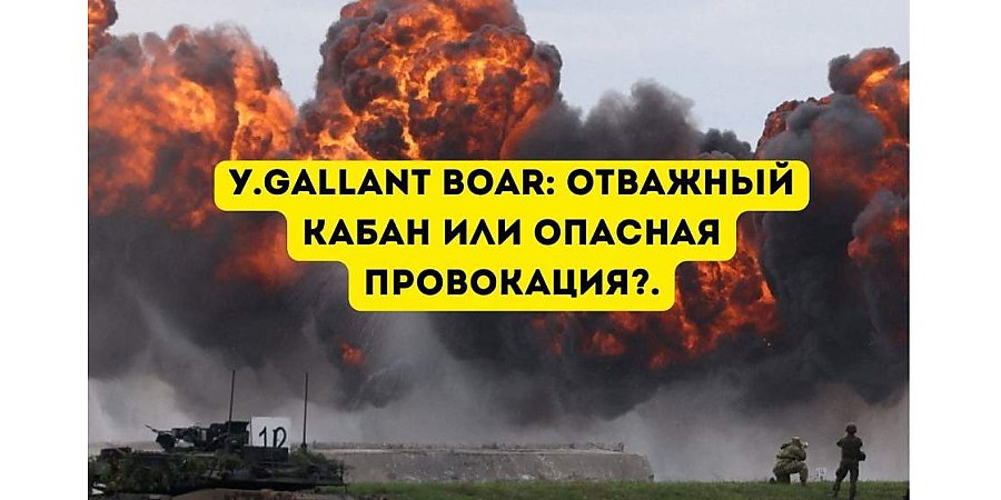 «Отважный кабан» на грани безумия: зачем НАТО превращает Сувалкский коридор в пороховую бочку