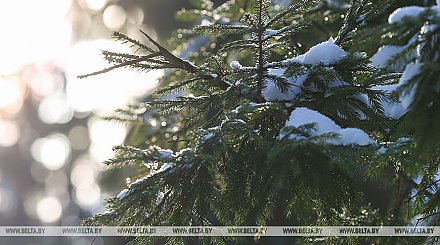 Белгидромет: воздушные массы Атлантики принесут в Беларусь мокрый снег и дождь